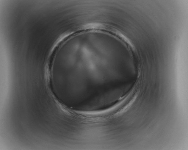 X0000114581117200910191518