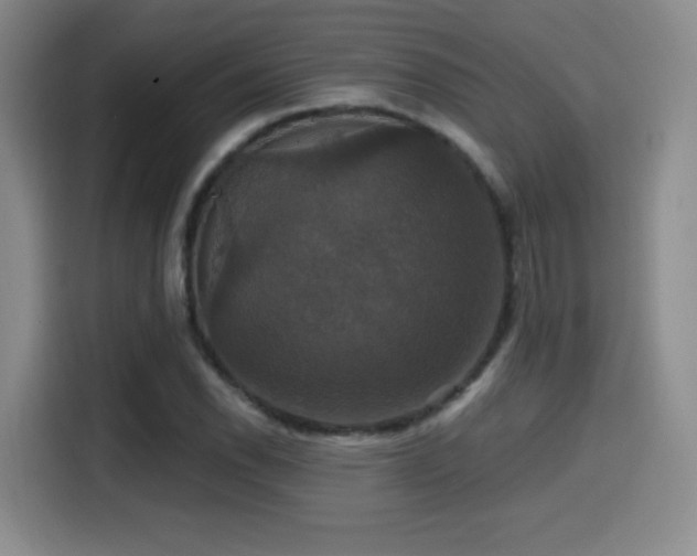 X0000114581118200910191518