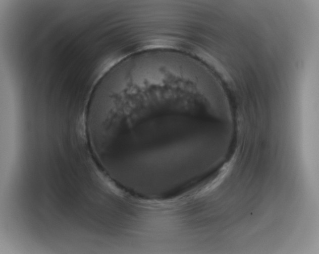 X0000114581121200910191518