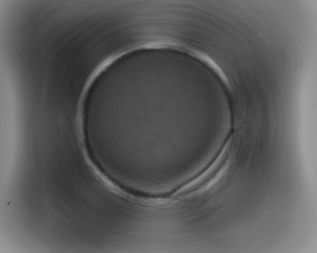 X0000114581122200910191518