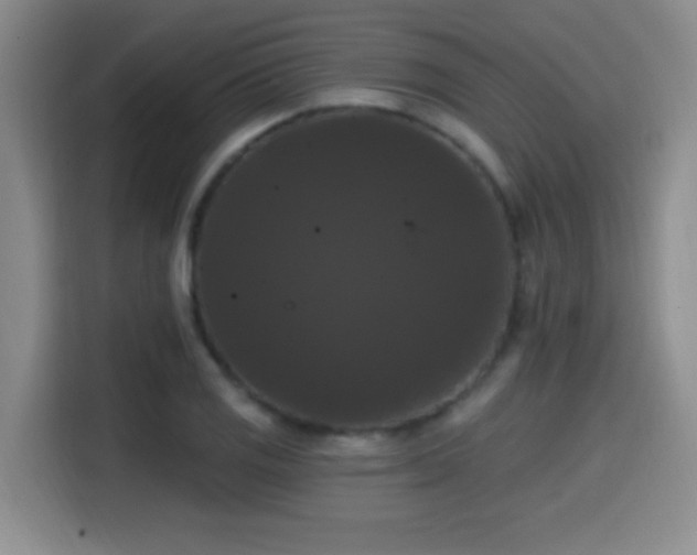 X0000114581125200910191518