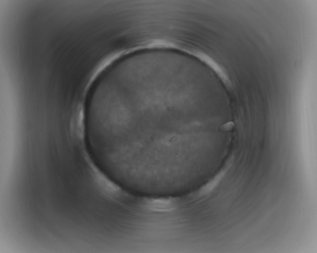 X0000114581126200910191518