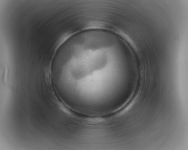 X0000114581129200910191518