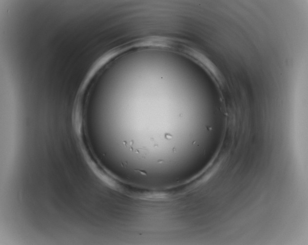 X0000114581131200910191518