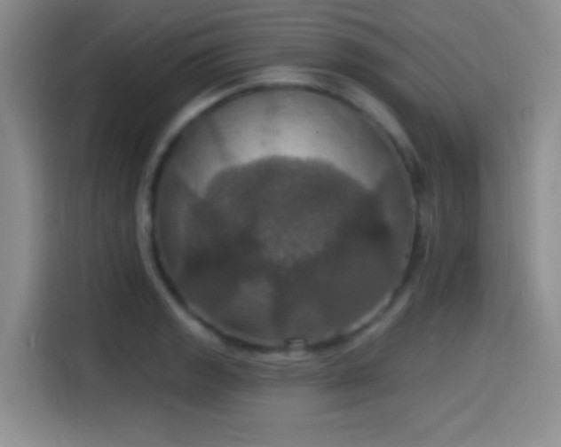 X0000114581133200910191518