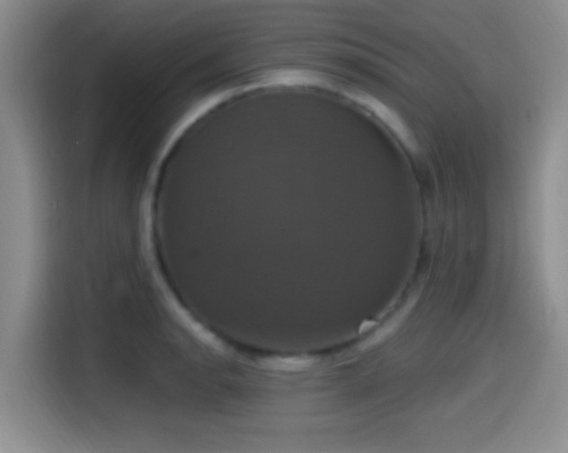 X0000114581134200910191518