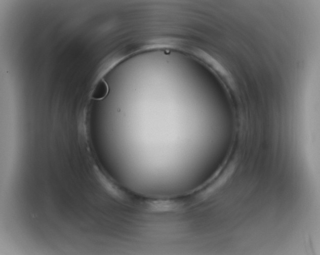 X0000114581137200910191518