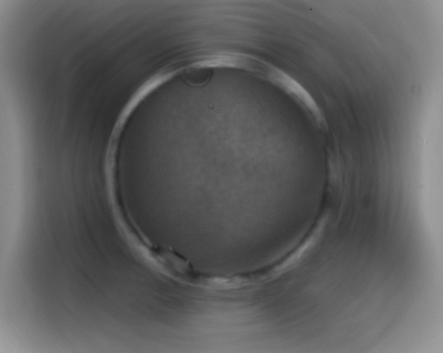 X0000114581138200910191518