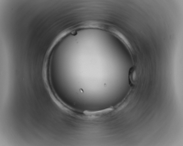 X0000114581139200910191518