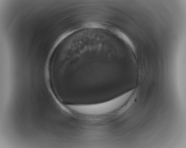 X0000114581141200910191518