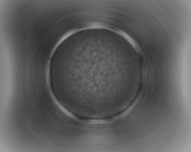 X0000114581142200910191518