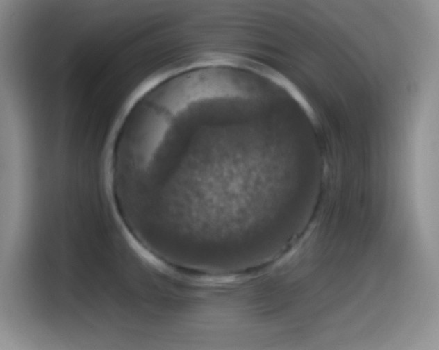 X0000114581143200910191518