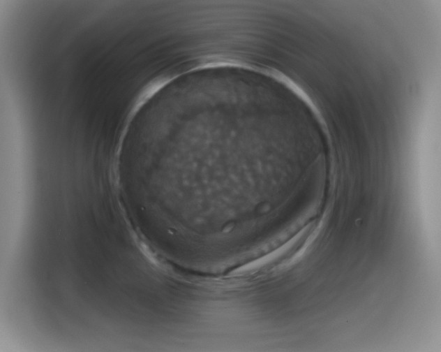 X0000114581145200910191518