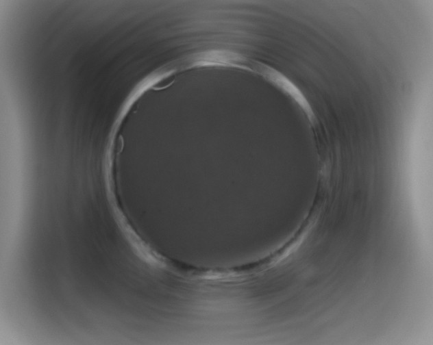 X0000114581146200910191518