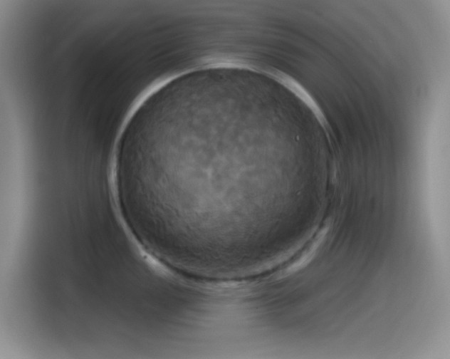 X0000114581149200910191518