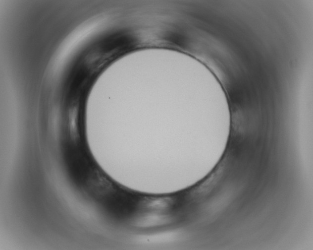 X0000114581150200910191518