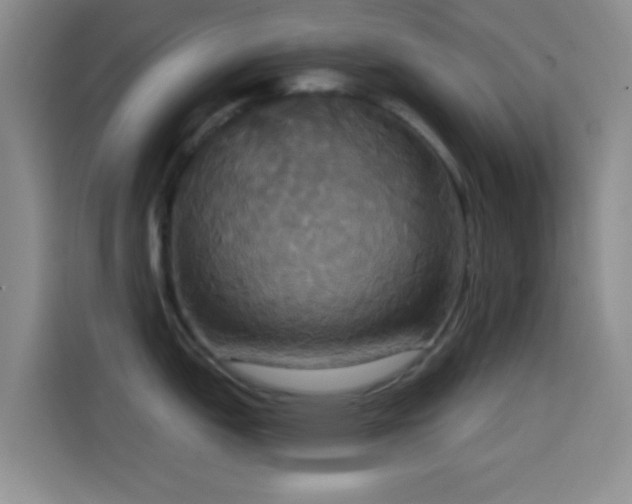 X0000114581151200910191518