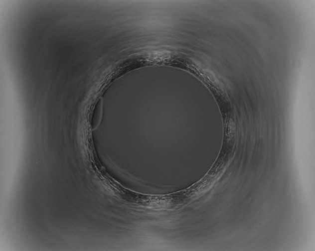 X0000114581153200910191517