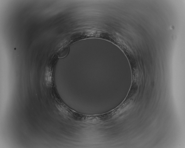 X0000114581154200910191517