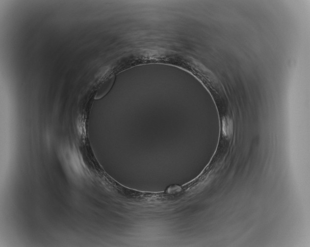 X0000114581155200910191517