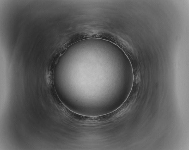 X0000114581156200910191517