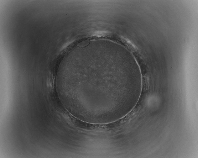 X0000114581158200910191517