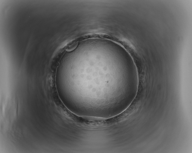 X0000114581159200910191517