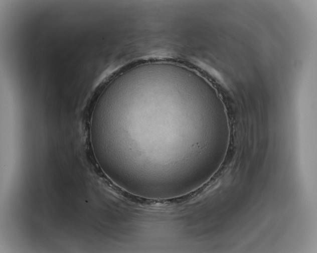 X0000114581160200910191517