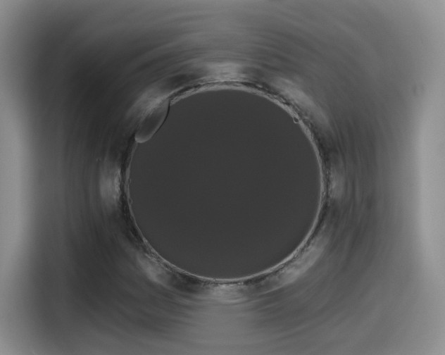 X0000114581161200910191517