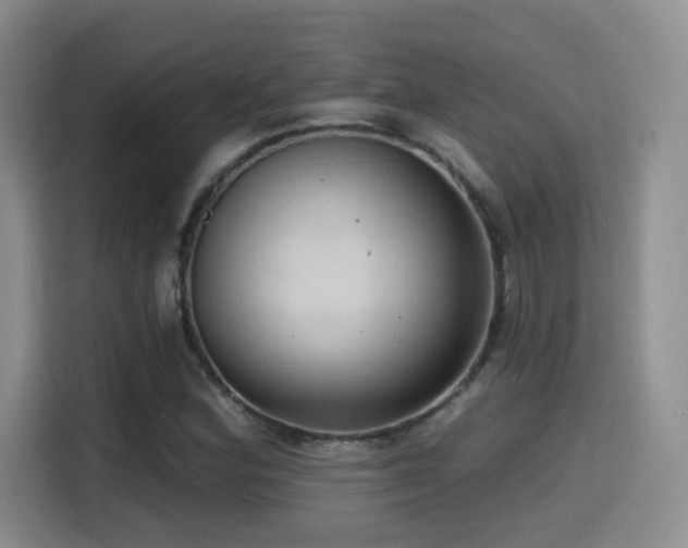 X0000114581164200910191517