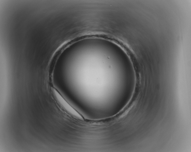 X0000114581165200910191517