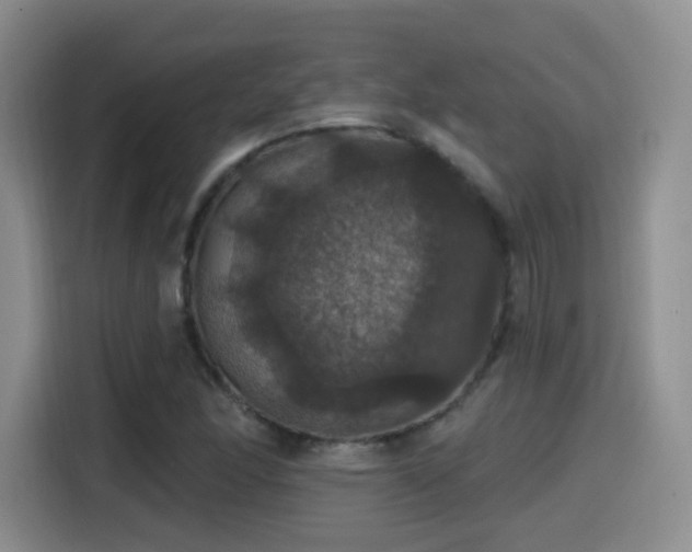 X0000114581166200910191517