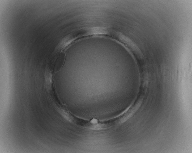 X0000114581169200910191517