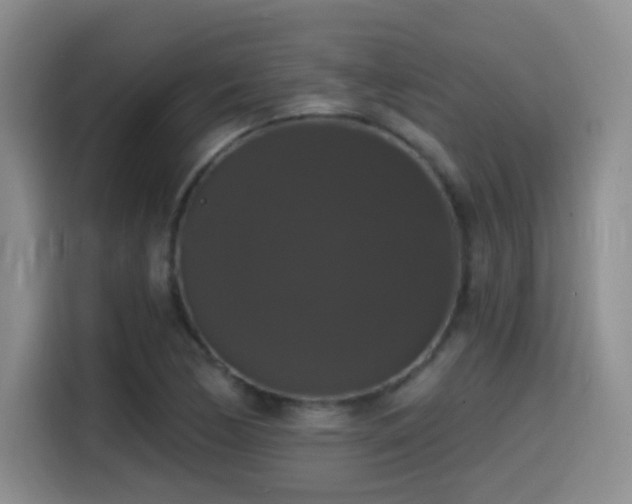 X0000114581170200910191517