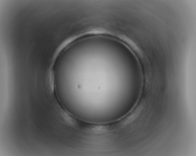 X0000114581175200910191517