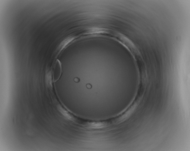 X0000114581177200910191517