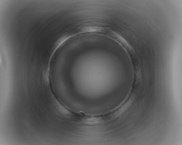 X0000114581178200910191517