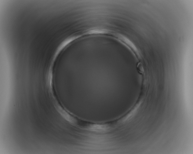 X0000114581179200910191517