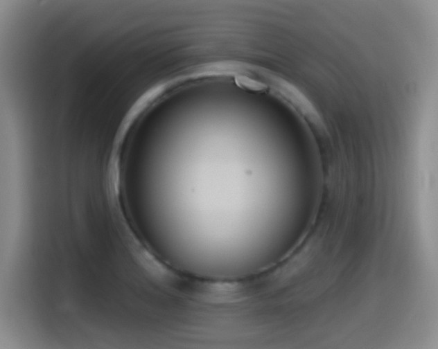 X0000114581180200910191517