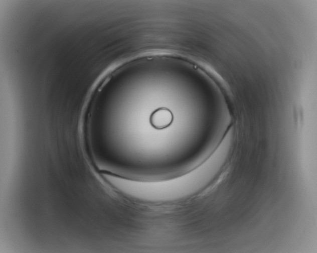 X0000114581181200910191517