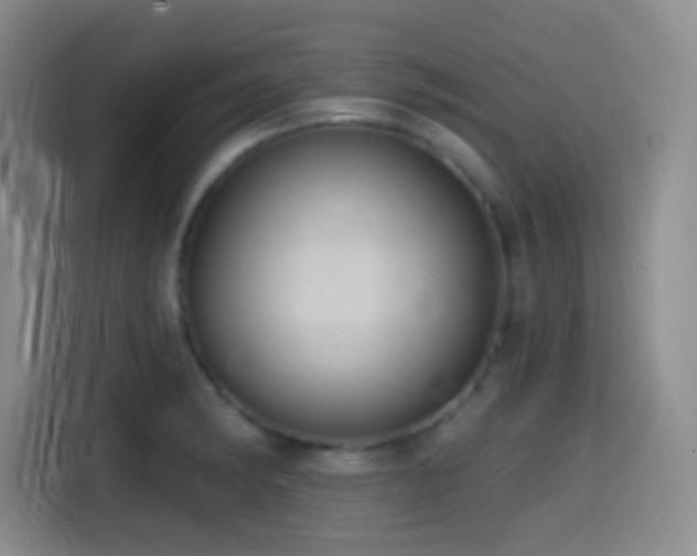 X0000114581182200910191517