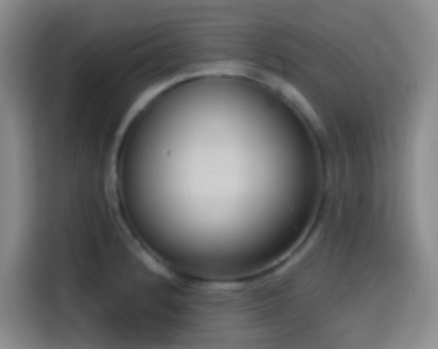 X0000114581184200910191517