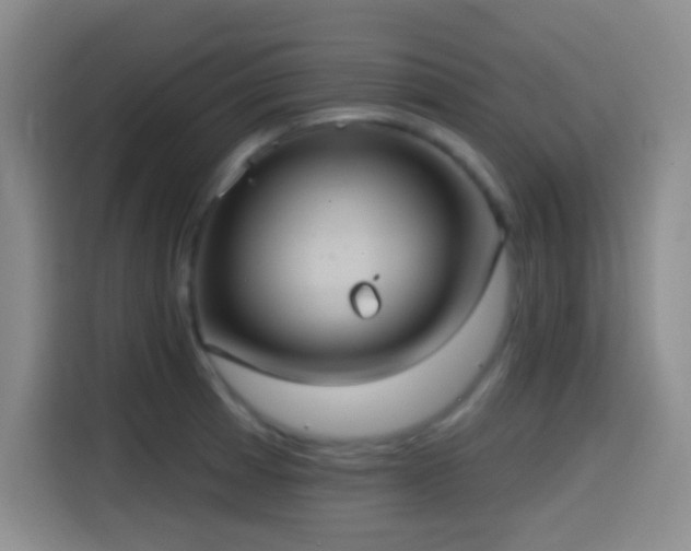 X0000114581185200910191517