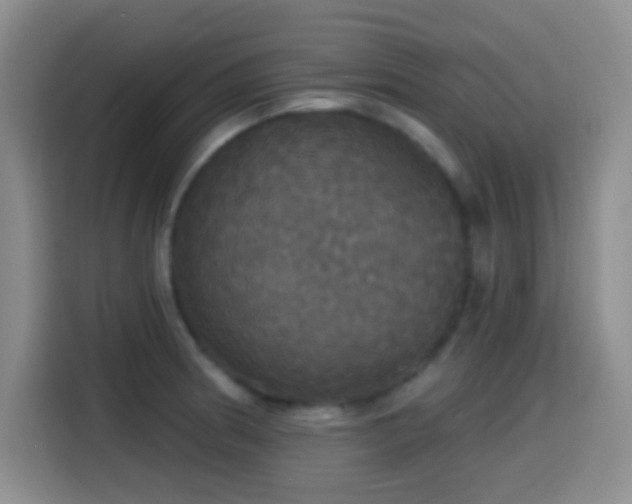 X0000114581186200910191517