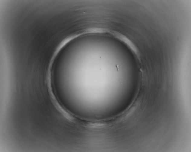 X0000114581187200910191517