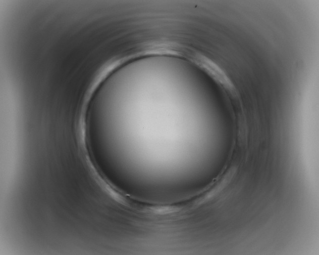 X0000114581188200910191517