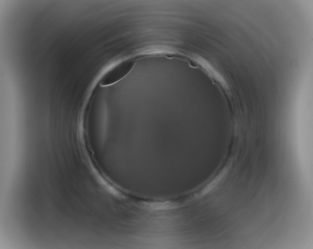 X0000114581189200910191517