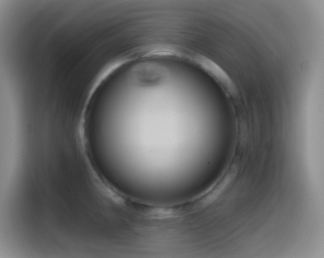 X0000114581190200910191517