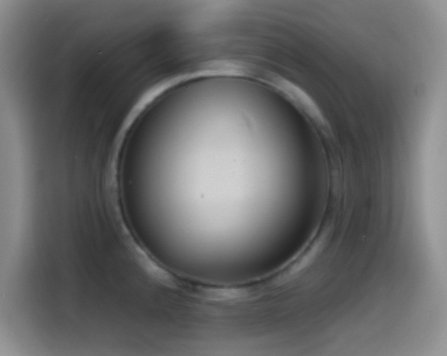 X0000114581192200910191517