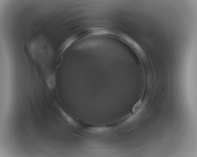 X0000114581193200910191517